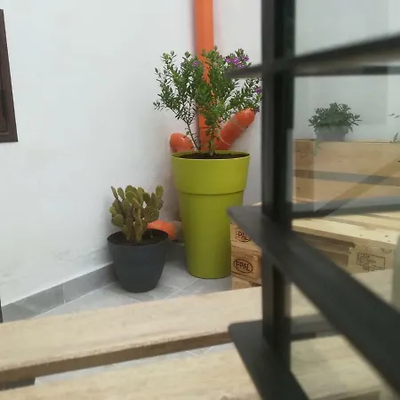 Sofia Pretty Appartament Tatil Evi Palermo