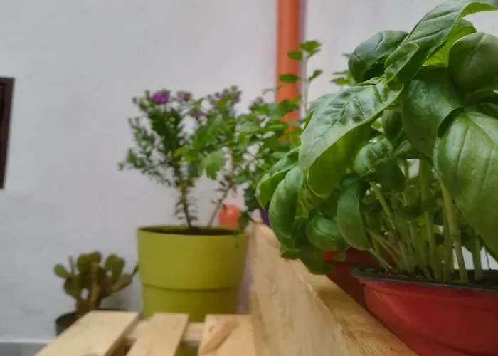 Sofia Pretty Appartament *